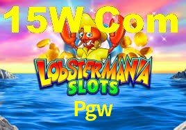 Programa VIP Pgw