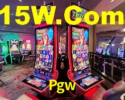 Premium Interface Pgw